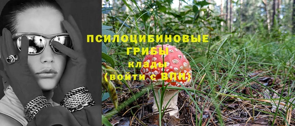 a pvp Белокуриха